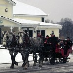 Horses and sleigh in the snow