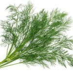 dill weed