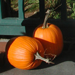 pumpkins
