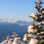 wildcatmountain