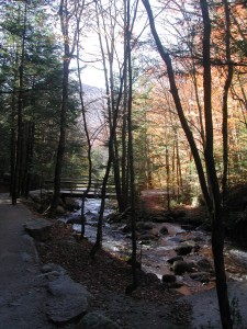 Flume Gorge and bare trees