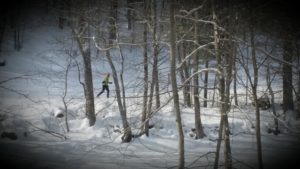 Ellis River Cross-country ski trail covered in snow with cross-country skier in the distance behind birch trees