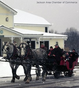 Horses and sleigh in the snow