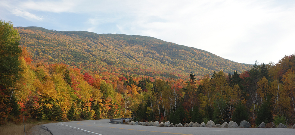 Pinkham Notch in September