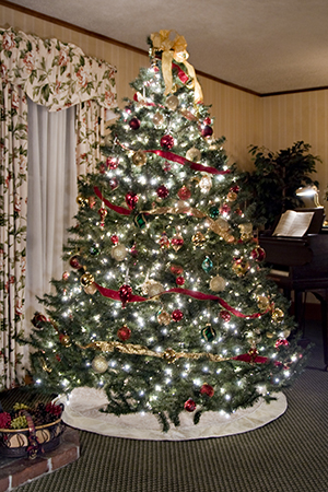 Christmas Tree with window with drapes & piano behind
