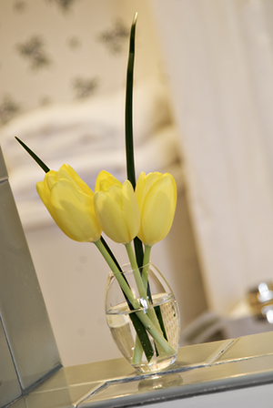 yellow tulips in glass vase with jetted tub behind