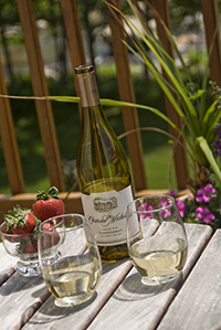 Bottle & 2 glasses of white wine with strawberries on wood table on balcony