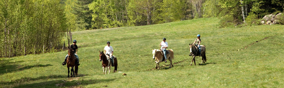 Black Mountain Trail Ride