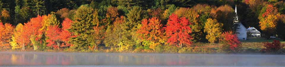 fall foliage