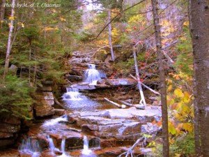 Thompson Falls